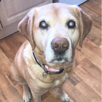 Photo uploaded to #FurryFriends by Cassandra C.