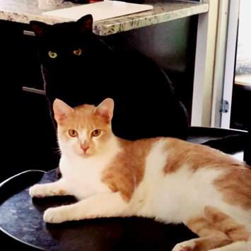 Photo uploaded to #FurryFriends by Victoria M.
