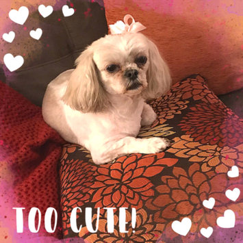 Photo uploaded to #FurryFriends by Petrina B.