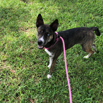 Photo uploaded to #FurryFriends by Gloribel P.