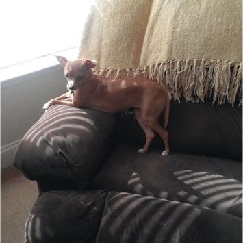 Photo uploaded to #FurryFriends by April B.