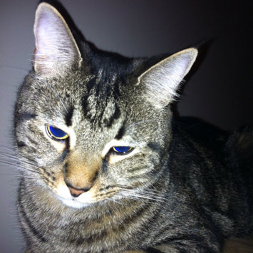 Photo uploaded to #FurryFriends by Marian B.