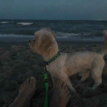 Photo uploaded to #FurryFriends by ala c.