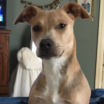 Photo uploaded to #FurryFriends by Schree R.