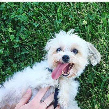 Photo uploaded to #FurryFriends by Danielle W.
