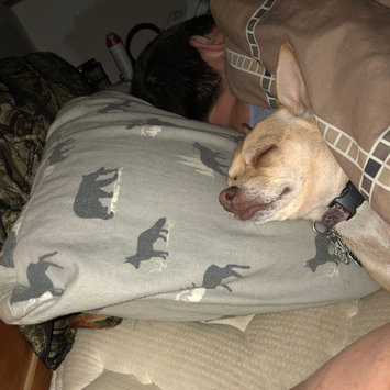 Photo uploaded to #FurryFriends by Brittany U.