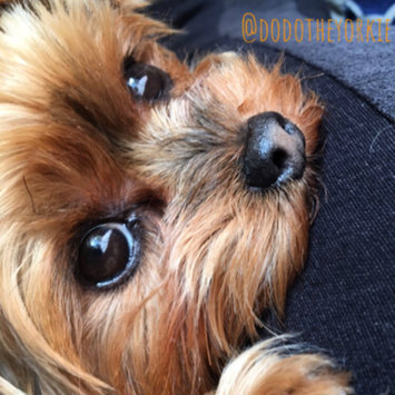 Photo uploaded to #FurryFriends by Mona N.