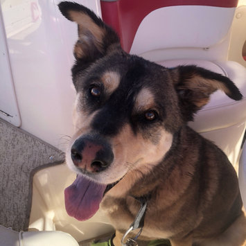Photo uploaded to #FurryFriends by Isabella B.