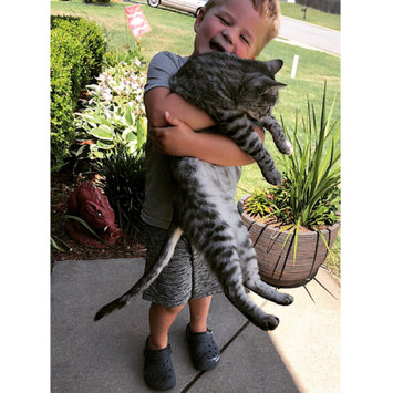 Photo uploaded to #FurryFriends by Lyndsey G.