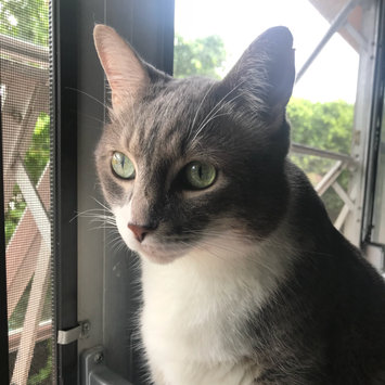 Photo uploaded to #FurryFriends by Alexis G.