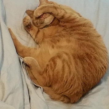 Photo uploaded to #FurryFriends by Megan P.