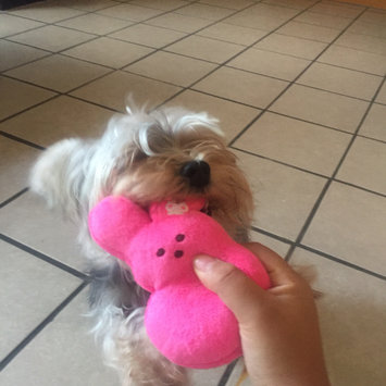Photo uploaded to #FurryFriends by Katherine F.