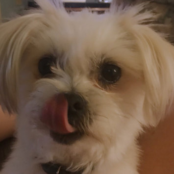 Photo uploaded to #FurryFriends by Lisa H.