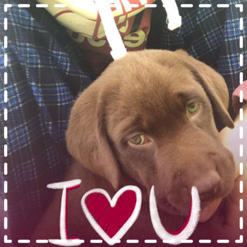 Photo uploaded to #FurryFriends by Karla H.