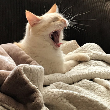 Photo uploaded to #FurryFriends by Nicole M.