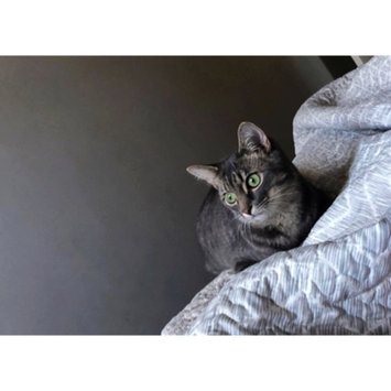 Photo uploaded to #FurryFriends by Stephanie L.