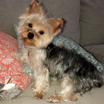 Photo uploaded to #FurryFriends by Rosie O.