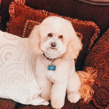 Photo uploaded to #FurryFriends by Jamay S.