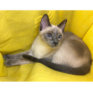 Photo uploaded to #FurryFriends by Sophie D.