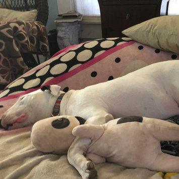 Photo uploaded to #FurryFriends by Emily W.