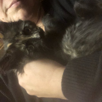 Photo uploaded to #FurryFriends by Shannyn C.