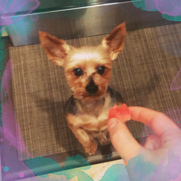 Photo uploaded to #FurryFriends by Winnie L.
