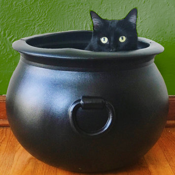 Photo uploaded to #FurryFriends by Margaret F.