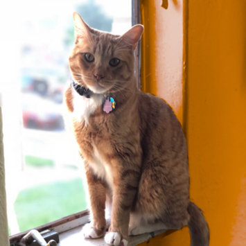 Photo uploaded to #FurryFriends by Margaret F.