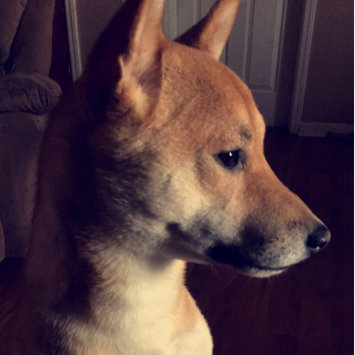 Photo uploaded to #FurryFriends by Ana T.