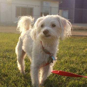 Photo uploaded to #FurryFriends by Joanna i.