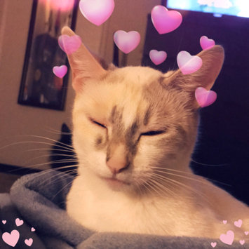 Photo uploaded to #FurryFriends by Ali M.