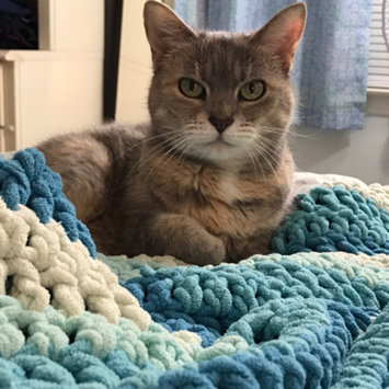 Photo uploaded to #FurryFriends by Dana R.