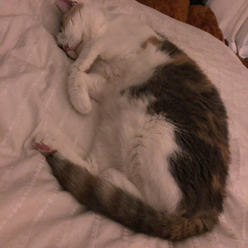 Photo uploaded to #FurryFriends by kay J.