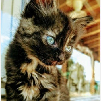 Photo uploaded to #FurryFriends by Dana R.