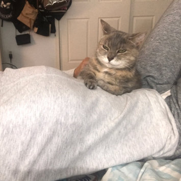 Photo uploaded to #FurryFriends by Dana R.