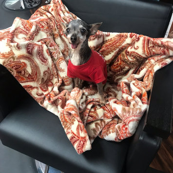 Photo uploaded to #FurryFriends by Kari S.