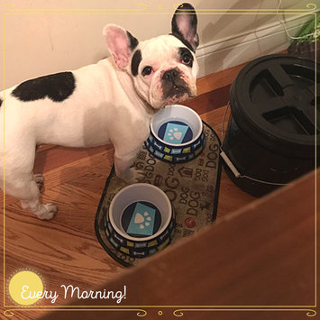 Photo uploaded to #FurryFriends by Shinead B.