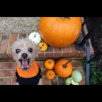 Photo uploaded to #FurryFriends by madison g.