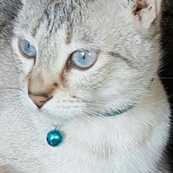 Photo uploaded to #FurryFriends by Lyric S.