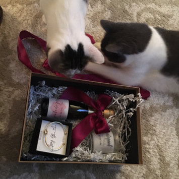 Photo uploaded to #FurryFriends by Cassidy F.
