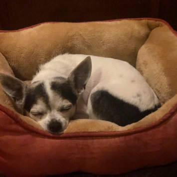 Photo uploaded to #FurryFriends by Ashley S.