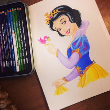 Photo of Sanford Prismacolor Premier Colored Pencils Set uploaded by Jessica P.