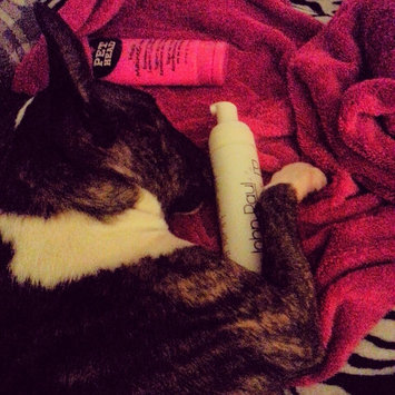 Photo of John Paul Pet Tearless Shampoo uploaded by Christy R.