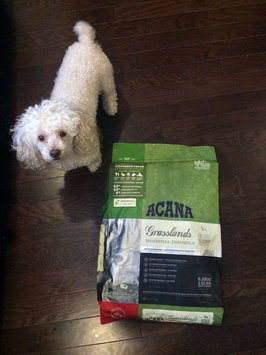 Photo of Acana Grasslands - Dog - 5.5 lb uploaded by Donna R.