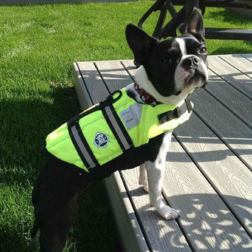 Photo of Paws Aboard Neon Yellow Doggy Life Jacket uploaded by Tara K.