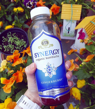Photo of GT's Raw Organic Kombucha Gingerberry uploaded by Sandra D.