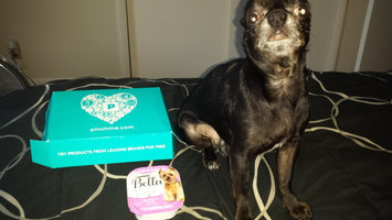 Photo of Purina Bella Filet Mignon Flavor in Savory Juices Adult Wet Dog Food 3.5 oz. Tray uploaded by Shawna M.