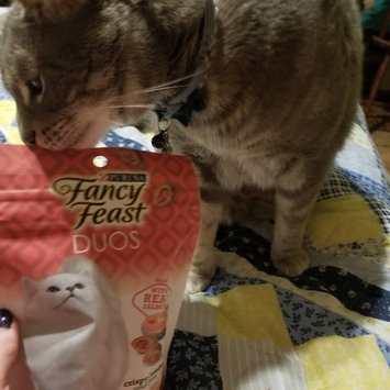 Photo of Fancy Feast® Duos Salmon With Accents Of Parsley Cat Treats uploaded by Jazmin N.