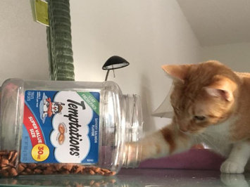 Photo of TEMPTATIONS™ Classic Treats For Cats Seafood Medley Cat Treats uploaded by Jennifer F.
