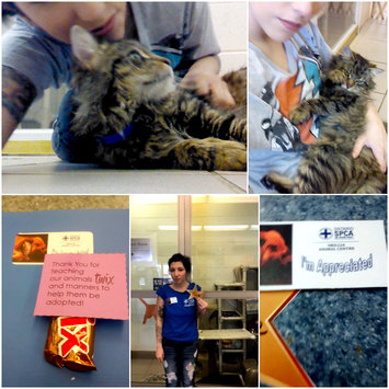 Photo of ASPCA uploaded by Forrest Jamie S.